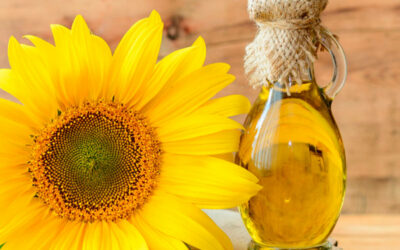 Sunflower Oil