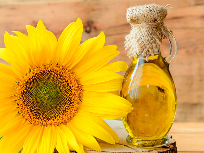 Sunflower Oil